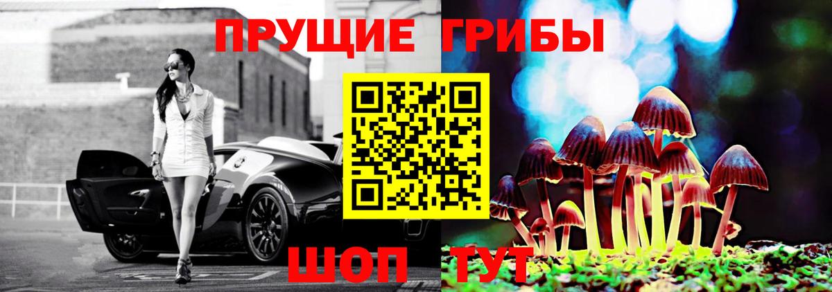 дарнет шоп  Вход с VPN  Обь  Галлюциногенные грибы Psilocybine cubensis 