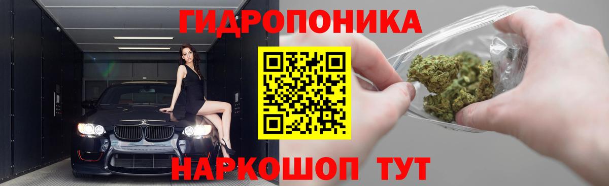 Бошки марихуана семена  Вход с VPN  Конопля индика  Обь  МАРИХУАНА AK-47  МАРИХУАНА AK-47 